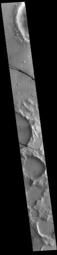 Cerberus Fossae
