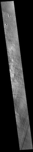 Oti Fossae