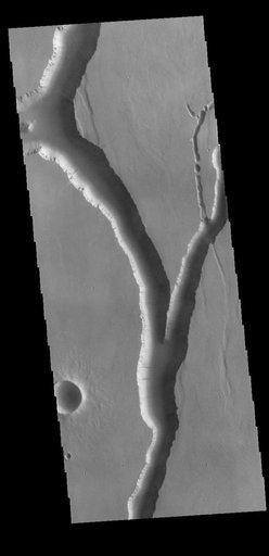 Olympica Fossae