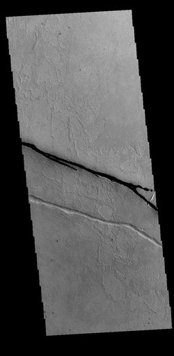 Cerberus Fossae