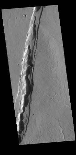 Artynia Catena