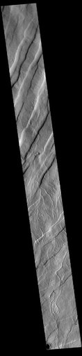 Alba Fossae