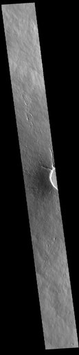 Elysium Mons
