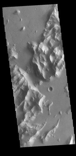 Lycus Sulci