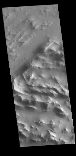Lycus Sulci