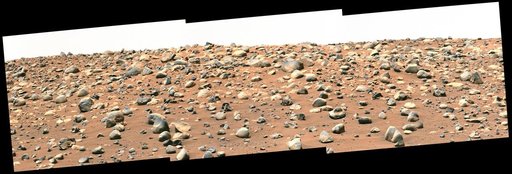 Perseverance's Mastcam-Z Views Castell Henllys