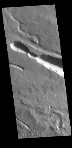 Elysium Fossae