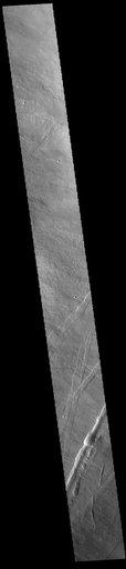 Oti Fossae