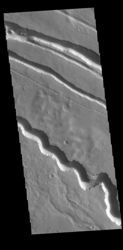Elysium Fossae