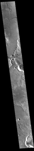 Bahram Vallis