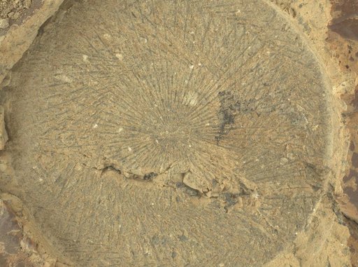 Zooming in on Perseverance Rover's 'Kenmore' Abrasion Patch