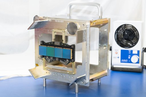 The Heart of NEO Surveyor: Its Infrared Detectors
