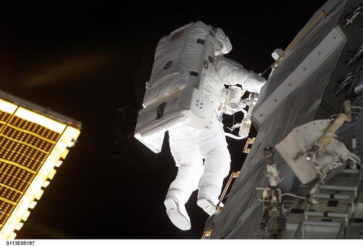 MS Herrington during the second EVA for STS-113