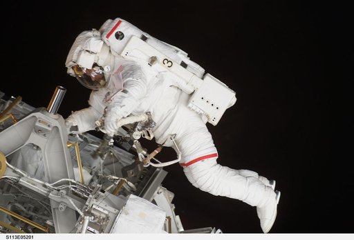MS Lopez-Alegria during the second EVA for STS-113