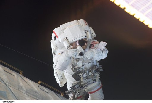 MS Lopez-Alegria during the second EVA for STS-113