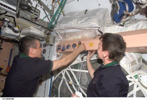 Krozun and Whitson place mission stickers on panel in Node 1 during STS-113 / EXP. 5