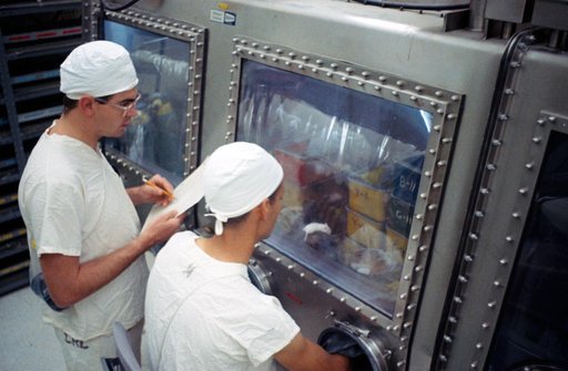 LUNAR SAMPLES - APOLLO 11 (MICE)