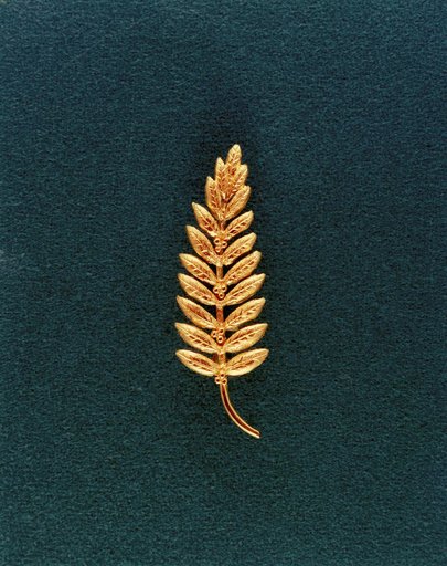 PIN - APOLLO 11