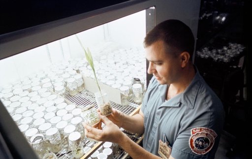 Examination - Plants - Lunar (Germ Free) Soil - Plant Laboratory - MSC
