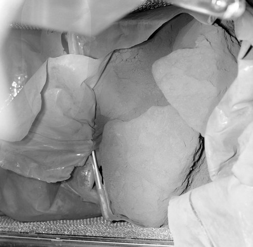 Lunar Samples - Apollo 12
