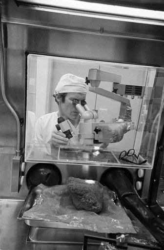 Technicians examine largest lunar rock sample collected