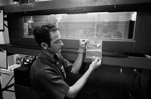 PERSONNEL - MINNOWS - SKYLAB (SL)-3 - JSC
