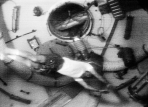 Astronaut Bean - Acrobatics - Orbital Workshop (OWS)