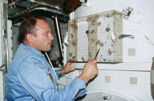 Commander Lousma examines Insect Flight Motion Study