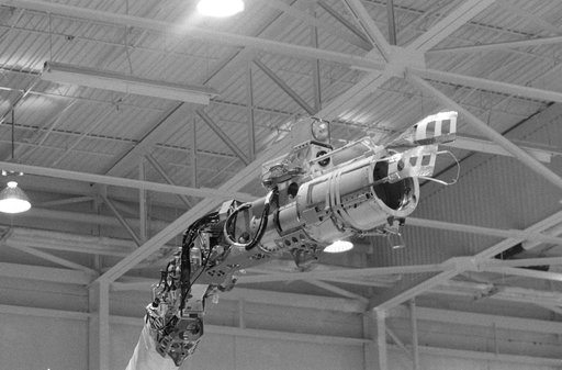 Remote Manipulator System (RMS) - Astronaut Ride, Sally (Flyswatter) - JSC