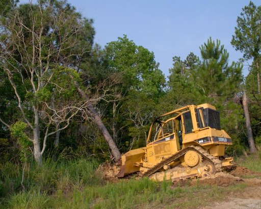 A-3 First Tree Cutting