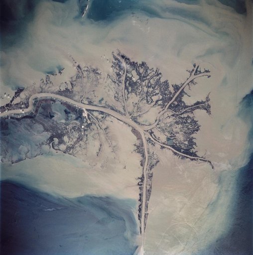 Mississippi River Delta, Louisiana as seen from STS-62