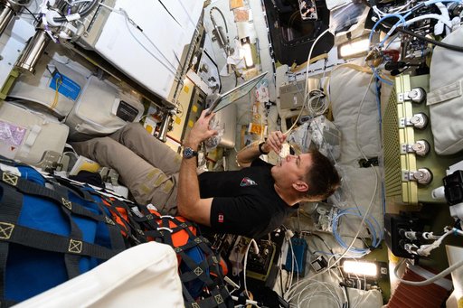 Life in Orion during the Artemis II Mission