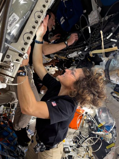 Koch and Hansen Work in Orion