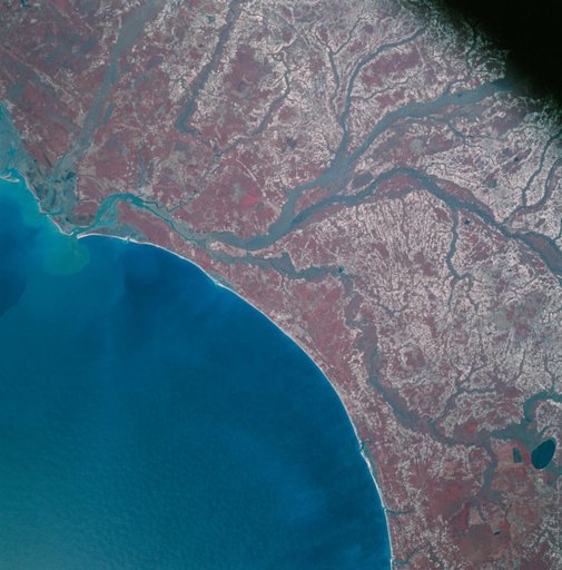 Apollo 9 Mission image - S0-65 Multispectral Photography - South Carolina