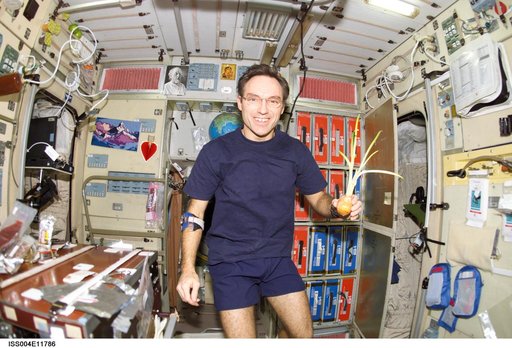 Walz holds a sprouted onion in the SM during Expedition Four