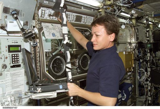 Whitson works at the MSG in the U.S. Laboratory during Expedition Five