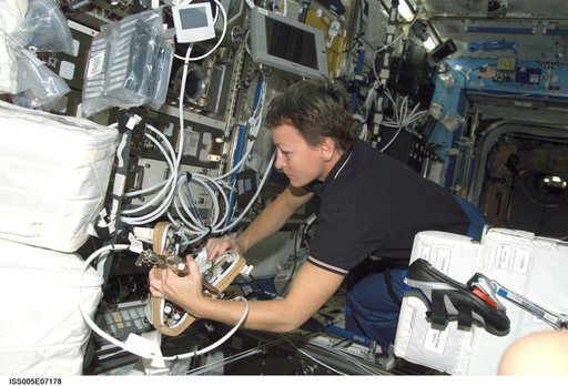 Whitson works at the MSG in the U.S. Laboratory during Expedition Five