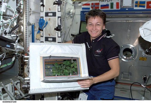 Whitson holds the ADVASC Soybean plant growth experiment in the U.S. Laboratory