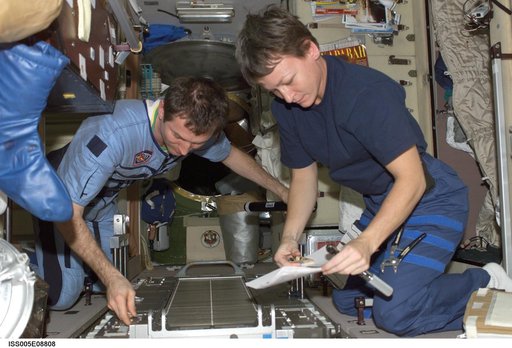 Whitson and Treschev work on TVIS treadmill
