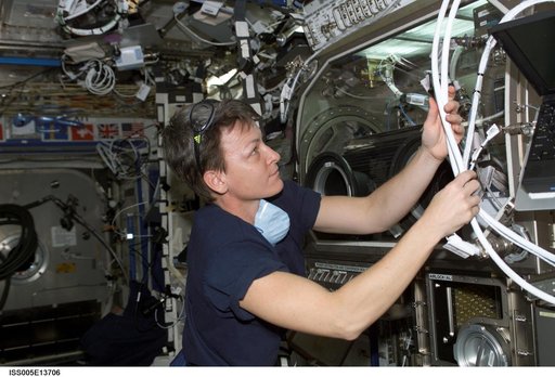 Whitson working on the MSG in the U.S. Laboratory during Expedition Five on the ISS
