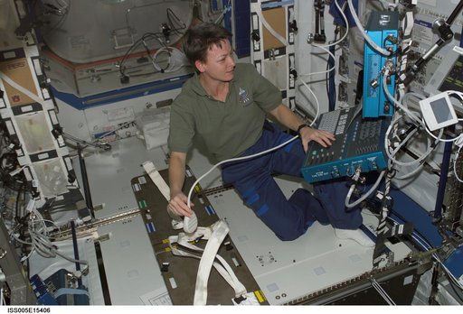 Whitson works at the HRF workstation in U.S. Laboratory during Expedition Six