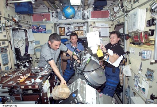 Expedition Five crew perform maintenance on the TVIS