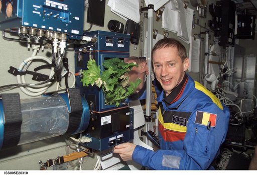 DeWinne posing at the Rasteniya-2 plant growth experiment in the SM during Expedition Five