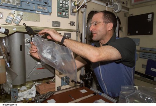 Expedition Six Flight Engineer Pettit uses a chemical/microbial analysis bag to collect water sample