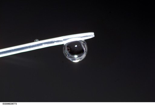 Bubble formed as a result of a Zeolite Crystal Growth experiment in the U.S. Laboratory