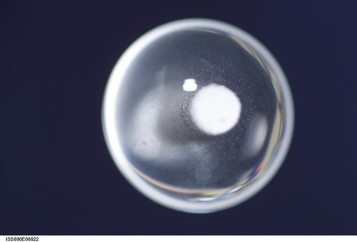Bubble formed as a result of a Zeolite Crystal Growth experiment in the U.S. Laboratory