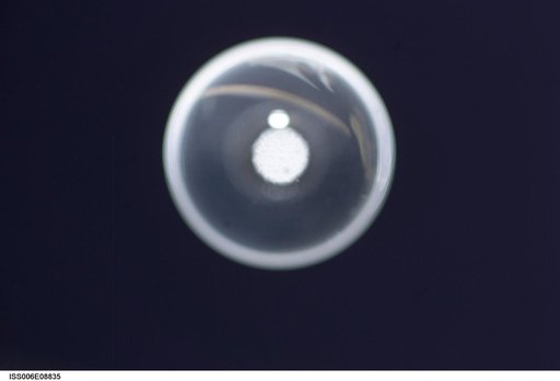 Bubble formed as a result of a Zeolite Crystal Growth experiment in the U.S. Laboratory