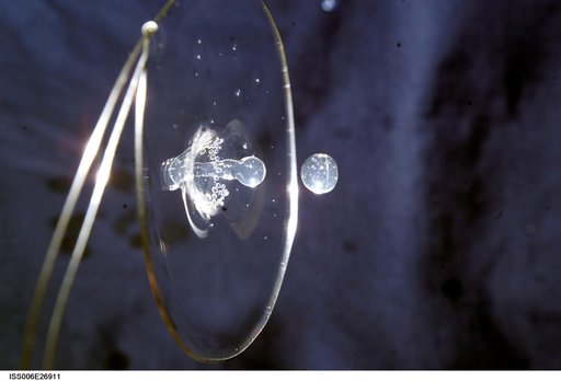 View of a surface tension demonstration using water that is being held in place by a 50mm metal loop