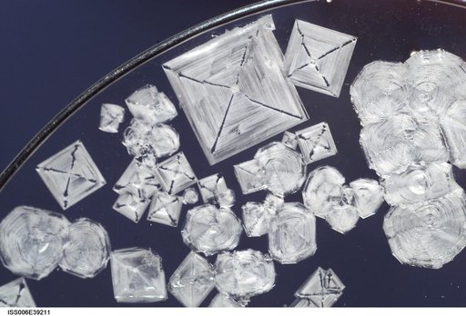 Close-up view of Sodium Chloride crystals in a water bubble on Expedition Six.