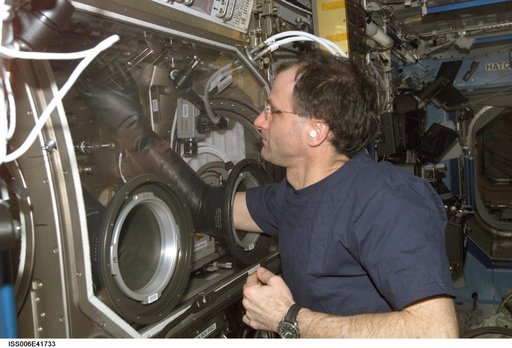 Flight Engineer Donald R. Pettit works with the InSpace experiments in the MSG in the U.S. Lab